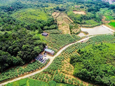 A(y)ɰ{@Щ(yu)(sh)֪